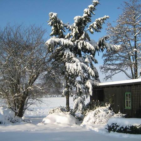 Ferienhaus Uchte / Darlaten Villa Dış mekan fotoğraf
