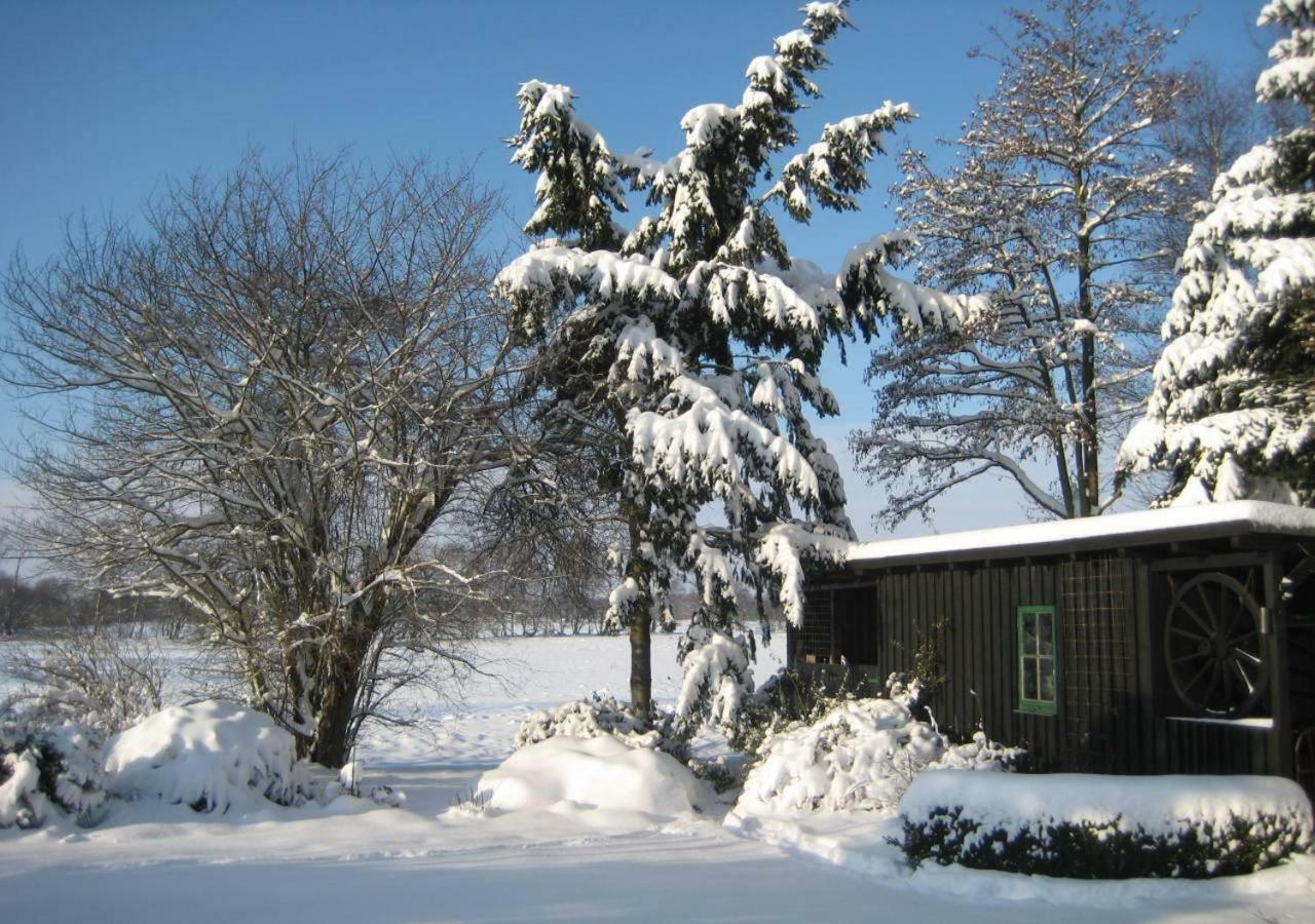 Ferienhaus Uchte / Darlaten Villa Dış mekan fotoğraf
