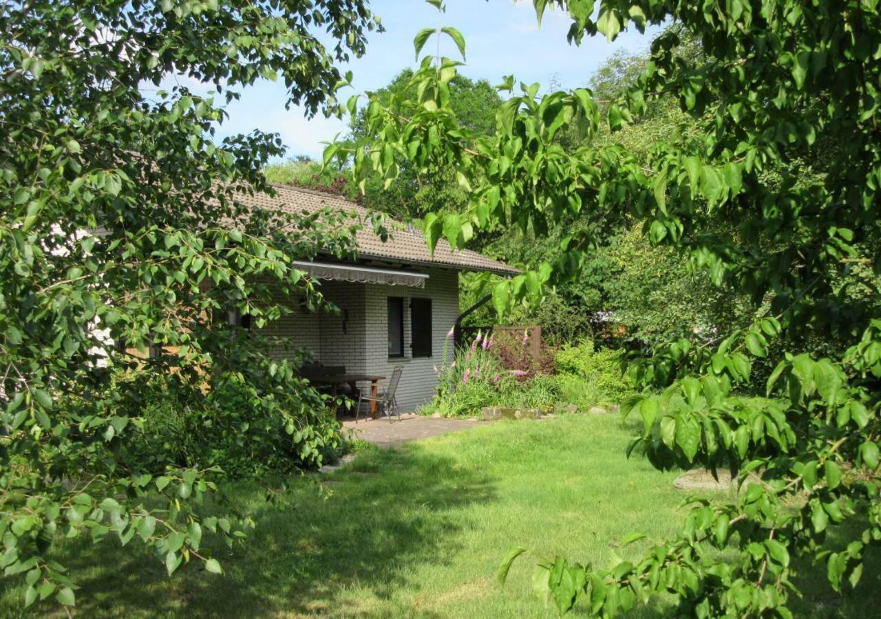 Ferienhaus Uchte / Darlaten Villa Dış mekan fotoğraf